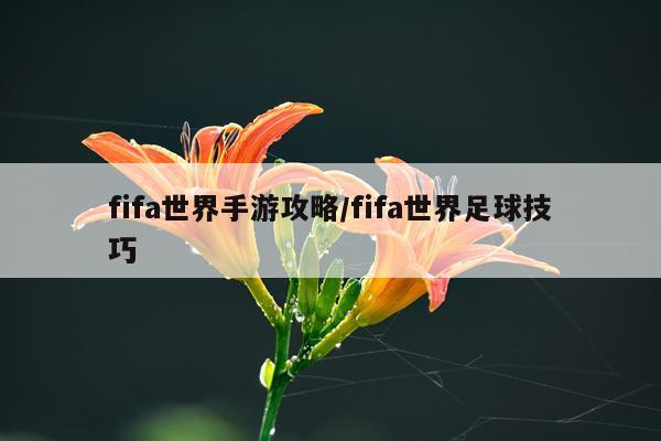 fifa世界手游攻略/fifa世界足球技巧
