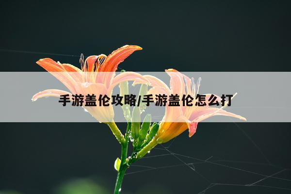 手游盖伦攻略/手游盖伦怎么打