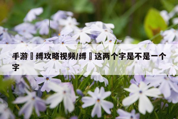 手游呪缚攻略视频/缚嚩这两个字是不是一个字
