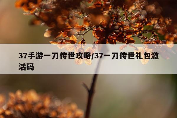 37手游一刀传世攻略/37一刀传世礼包激活码