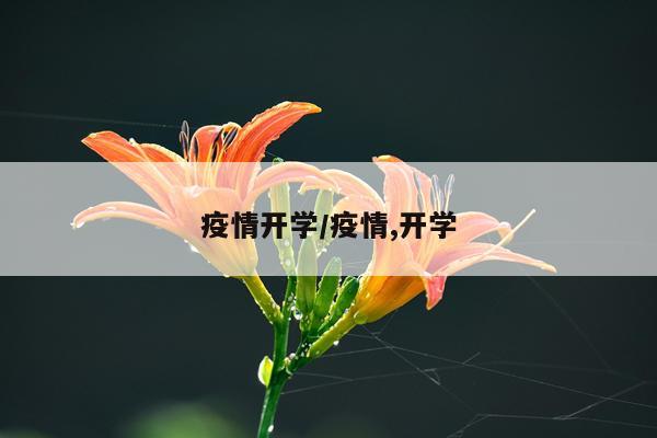 疫情开学/疫情,开学