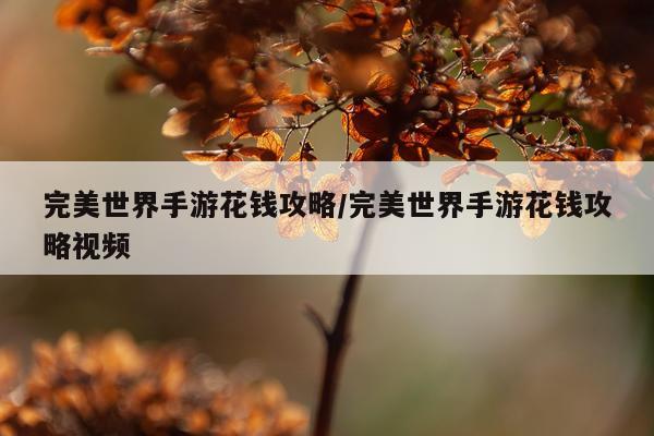 完美世界手游花钱攻略/完美世界手游花钱攻略视频