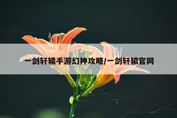 一剑轩辕手游幻神攻略/一剑轩辕官网