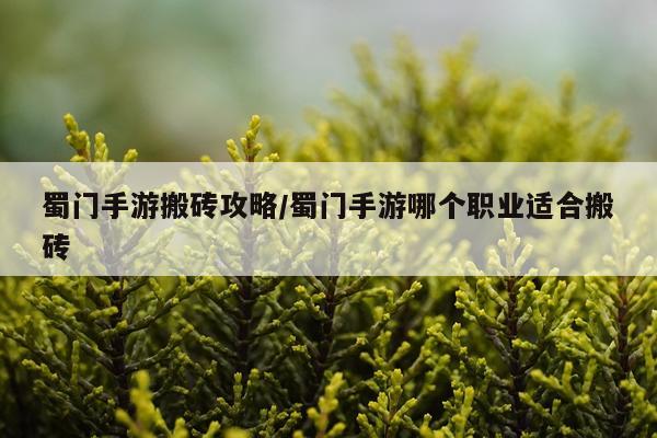 蜀门手游搬砖攻略/蜀门手游哪个职业适合搬砖