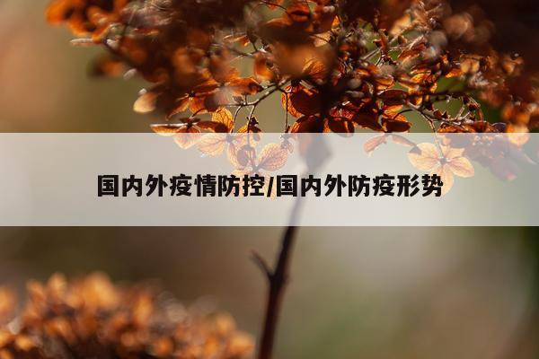 国内外疫情防控/国内外防疫形势
