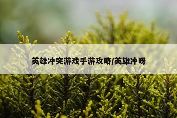 英雄冲突游戏手游攻略/英雄冲呀