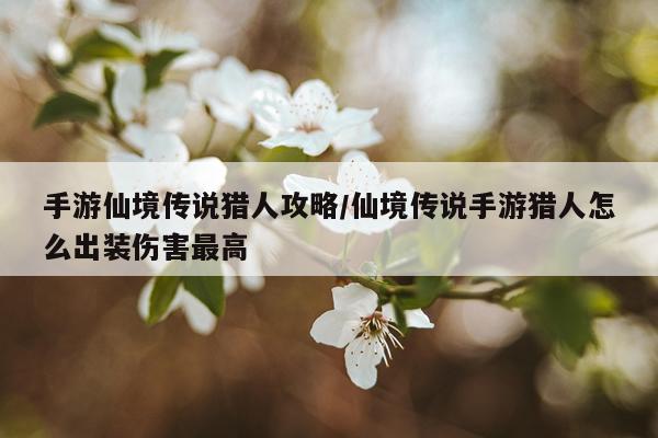 手游仙境传说猎人攻略/仙境传说手游猎人怎么出装伤害最高