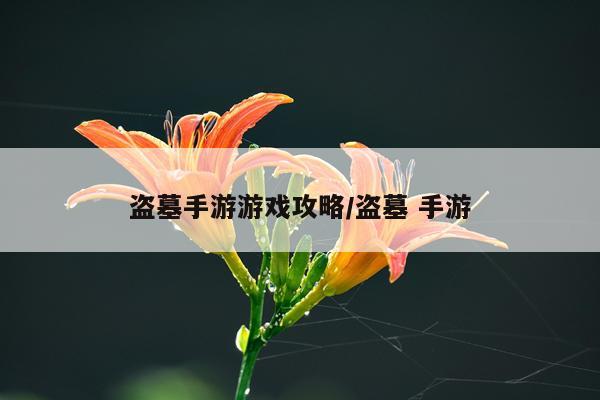 盗墓手游游戏攻略/盗墓 手游