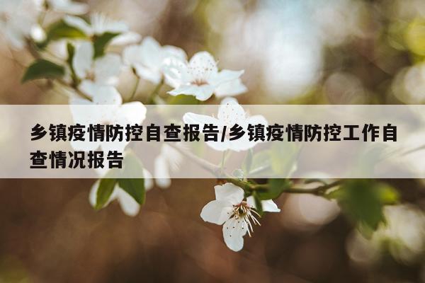 乡镇疫情防控自查报告/乡镇疫情防控工作自查情况报告
