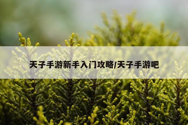 天子手游新手入门攻略/天子手游吧