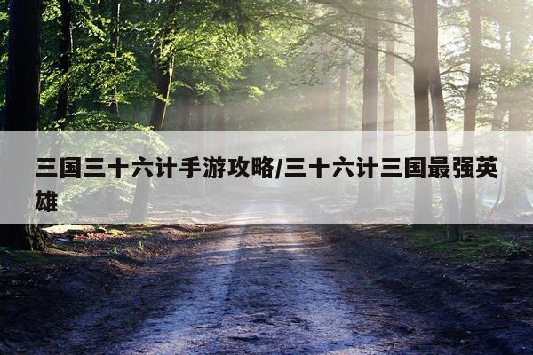 三国三十六计手游攻略/三十六计三国最强英雄
