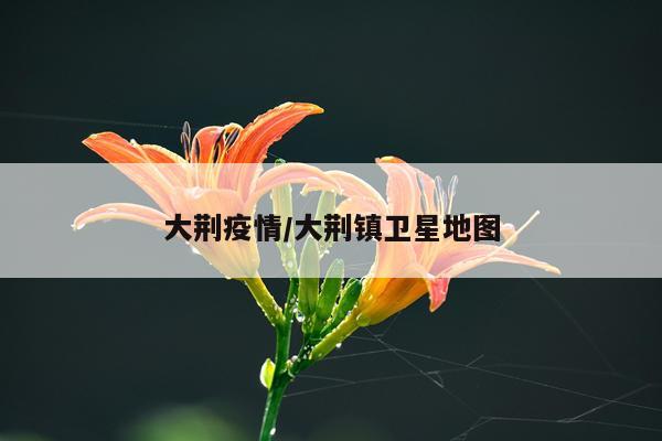 大荆疫情/大荆镇卫星地图