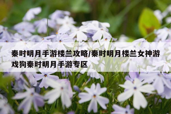 秦时明月手游楼兰攻略/秦时明月楼兰女神游戏狗秦时明月手游专区