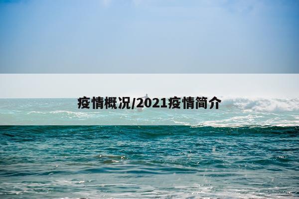 疫情概况/2021疫情简介