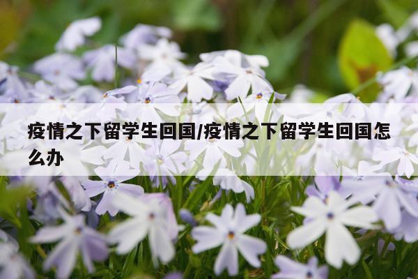 疫情之下留学生回国/疫情之下留学生回国怎么办