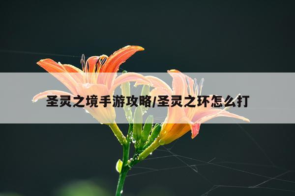圣灵之境手游攻略/圣灵之环怎么打