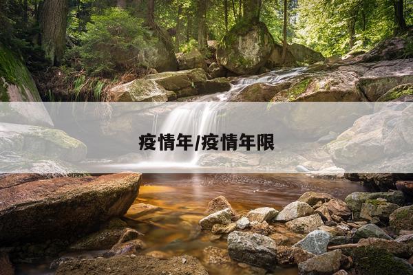 疫情年/疫情年限