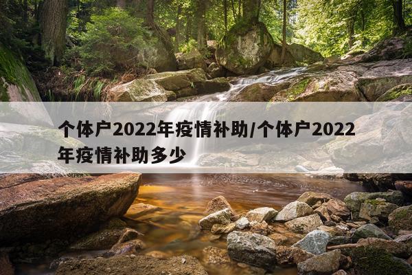 个体户2022年疫情补助/个体户2022年疫情补助多少