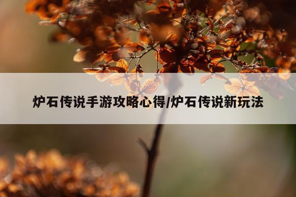 炉石传说手游攻略心得/炉石传说新玩法