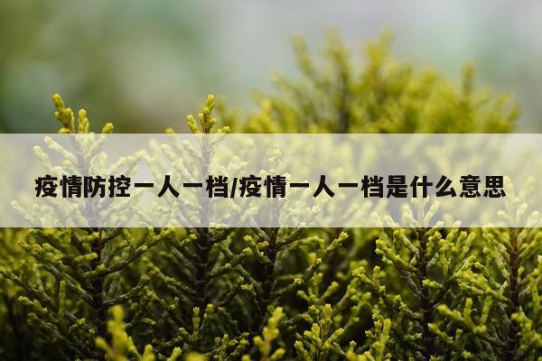 疫情防控一人一档/疫情一人一档是什么意思
