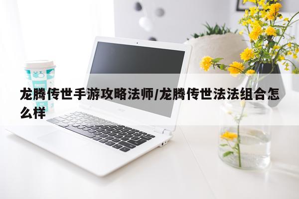 龙腾传世手游攻略法师/龙腾传世法法组合怎么样