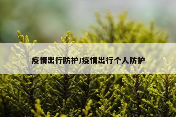 疫情出行防护/疫情出行个人防护