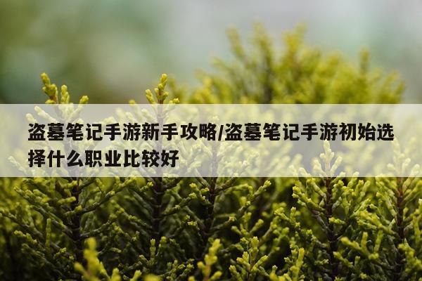 盗墓笔记手游新手攻略/盗墓笔记手游初始选择什么职业比较好