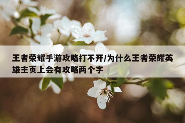 王者荣耀手游攻略打不开/为什么王者荣耀英雄主页上会有攻略两个字