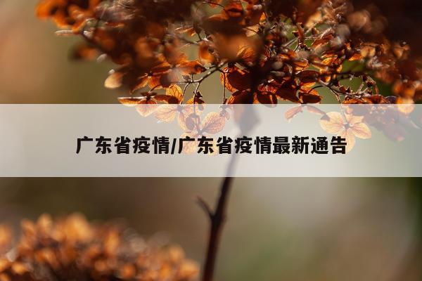 广东省疫情/广东省疫情最新通告