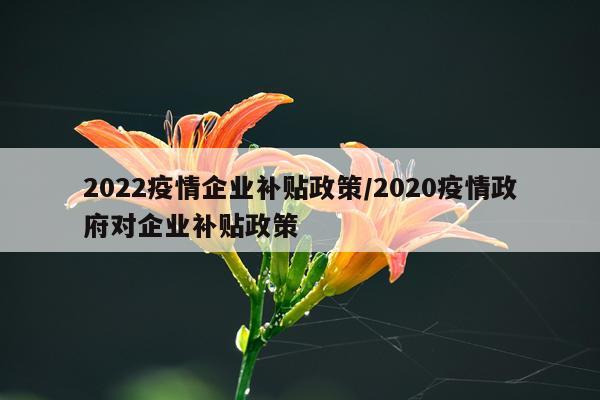 2022疫情企业补贴政策/2020疫情政府对企业补贴政策