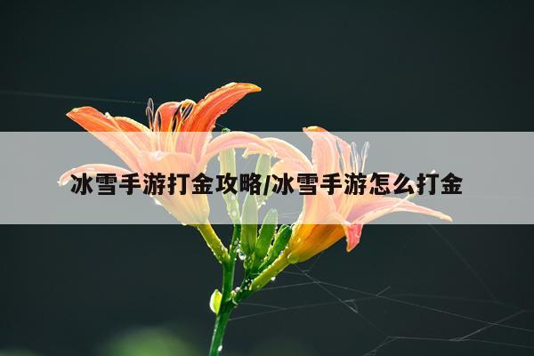 冰雪手游打金攻略/冰雪手游怎么打金