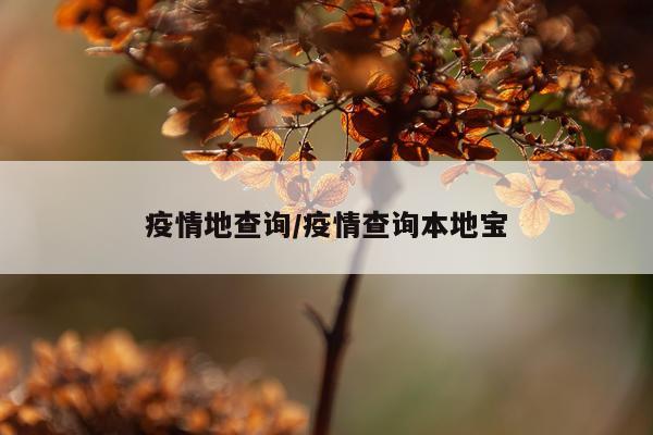 疫情地查询/疫情查询本地宝