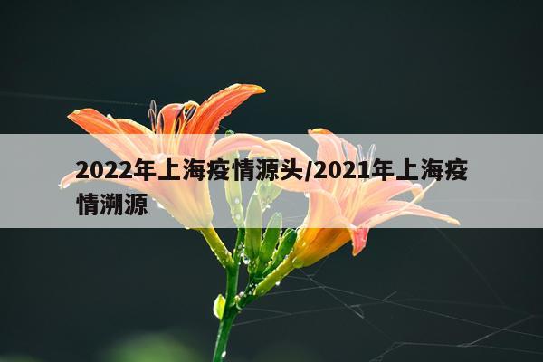 2022年上海疫情源头/2021年上海疫情溯源