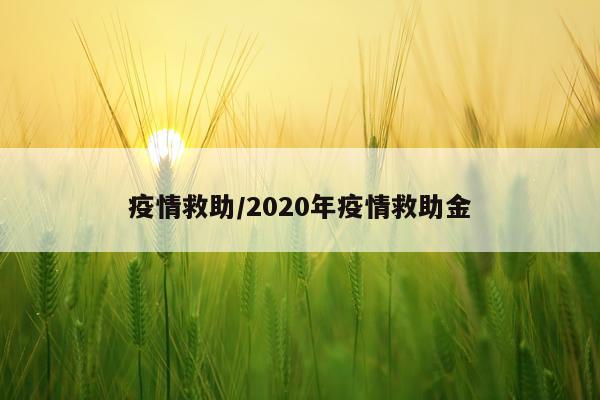 疫情救助/2020年疫情救助金