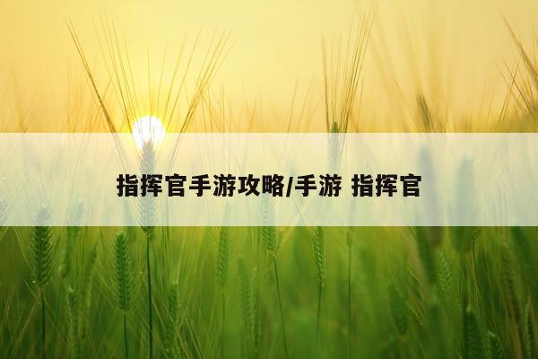 指挥官手游攻略/手游 指挥官