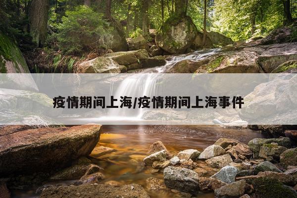 疫情期间上海/疫情期间上海事件