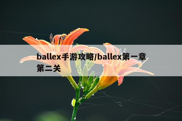 ballex手游攻略/ballex第一章第二关