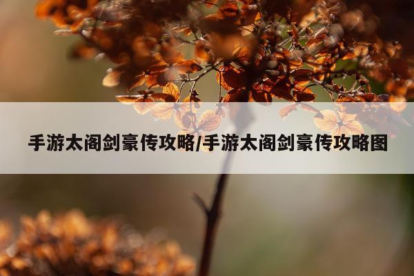 手游太阁剑豪传攻略/手游太阁剑豪传攻略图