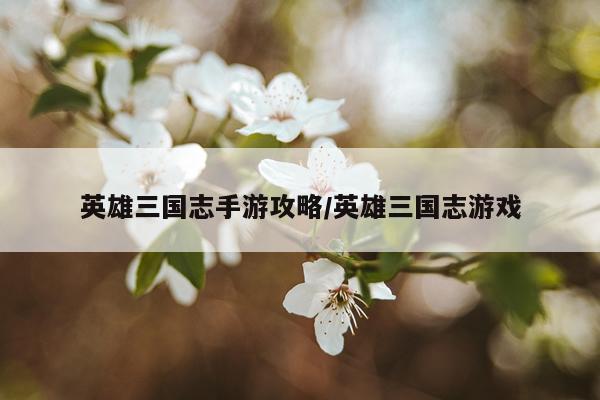 英雄三国志手游攻略/英雄三国志游戏