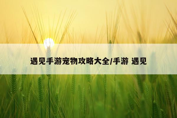 遇见手游宠物攻略大全/手游 遇见