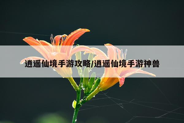 逍遥仙境手游攻略/逍遥仙境手游神兽