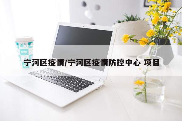 宁河区疫情/宁河区疫情防控中心 项目