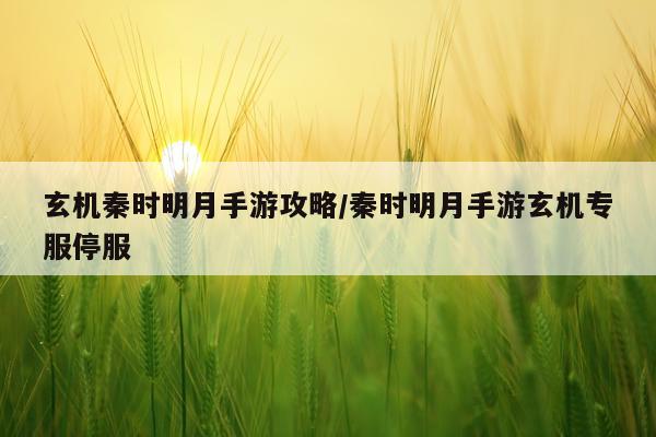 玄机秦时明月手游攻略/秦时明月手游玄机专服停服
