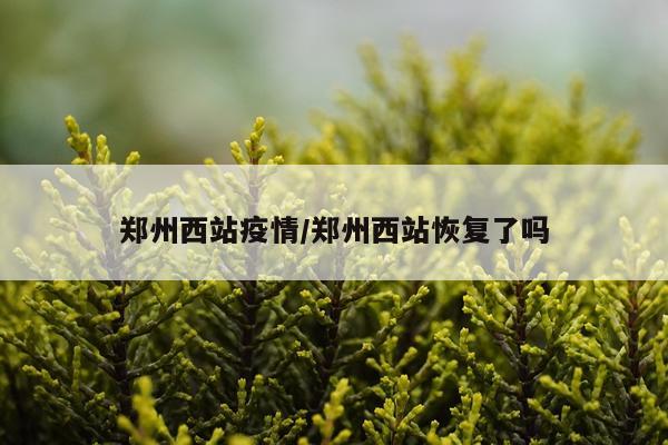 郑州西站疫情/郑州西站恢复了吗