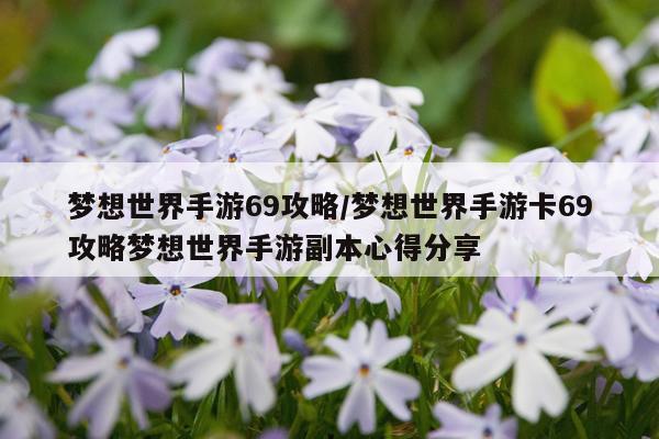 梦想世界手游69攻略/梦想世界手游卡69攻略梦想世界手游副本心得分享