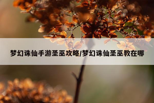 梦幻诛仙手游圣巫攻略/梦幻诛仙圣巫教在哪