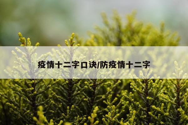 疫情十二字口诀/防疫情十二字