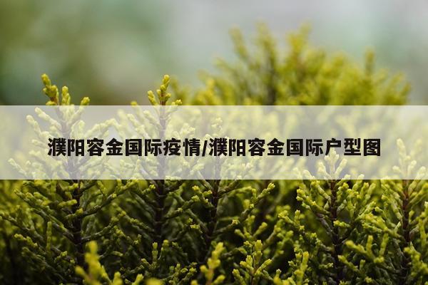 濮阳容金国际疫情/濮阳容金国际户型图