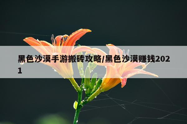 黑色沙漠手游搬砖攻略/黑色沙漠赚钱2021