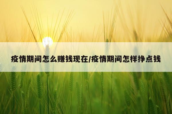 疫情期间怎么赚钱现在/疫情期间怎样挣点钱